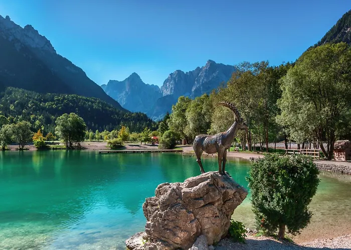 Appartement Apartma Juniper