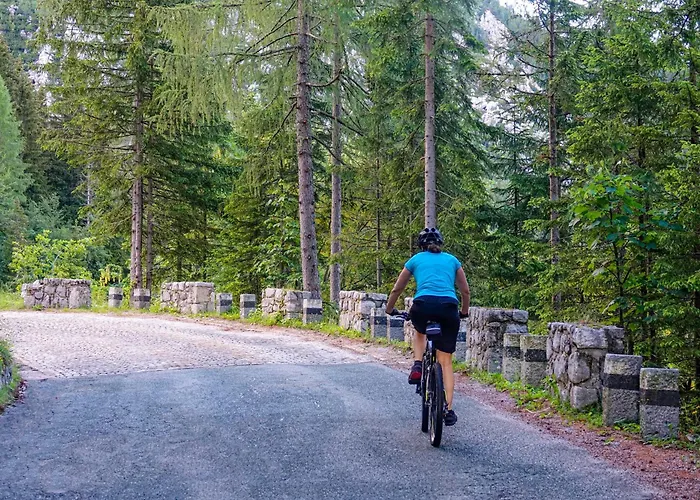 Apartma Juniper Appartement Kranjska Gora