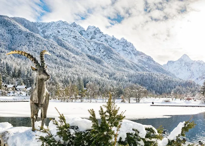 Apartma Juniper Appartement